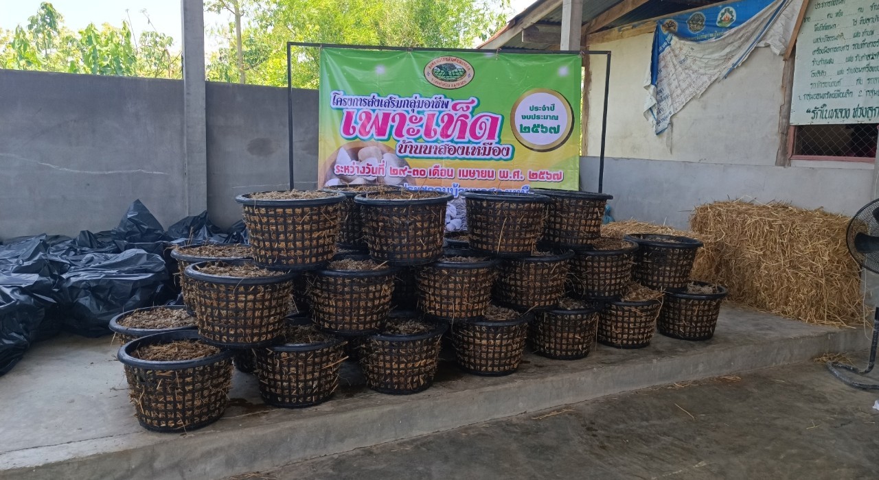 โครงการส่งเสริมกลุ่มอาชีพเพาะเห็ดบ้านนาสองเหมือง ประจำปีงบประมาณ 2567