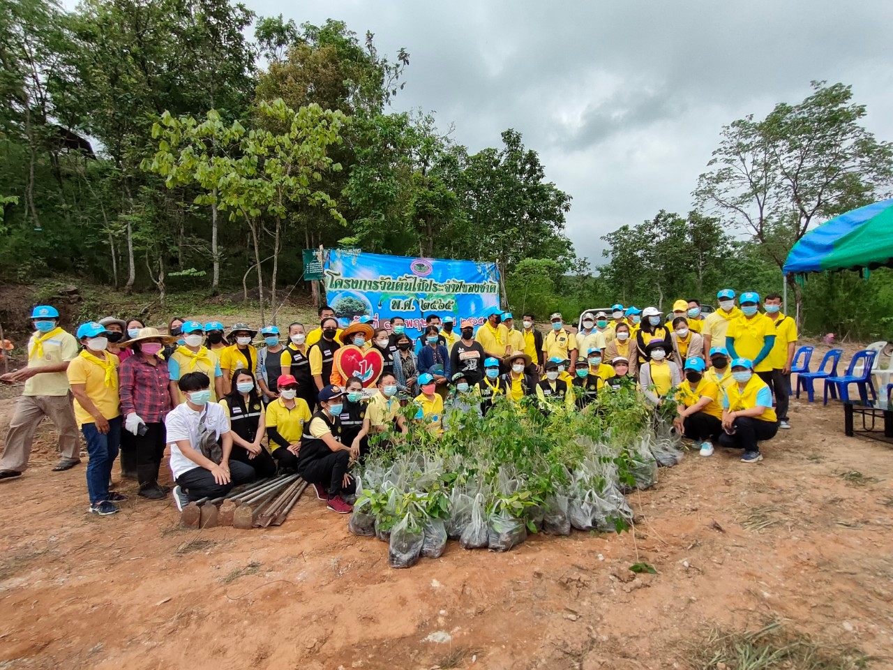 โครงการวันต้นไม้ประจำปีของชาติ ประจำปี 2565